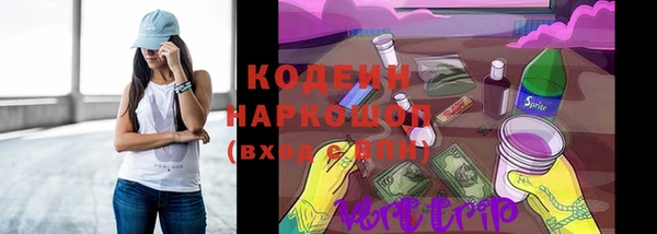 шишки Верея