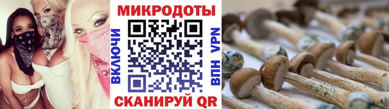 Псилоцибиновые грибы мицелий Бийск